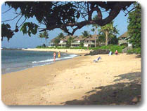 beach adjacent to Kahana Reef
