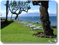 looking along the seawall toward Lanai 