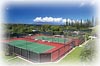 Kapalua Tennis